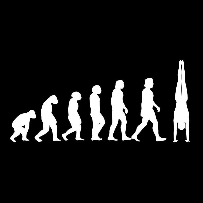 Handstand Evolution Gymnastics turnen Calisthenics