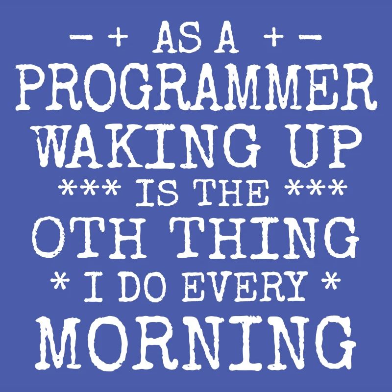 Software Ingenieur Informatiker Programmierer