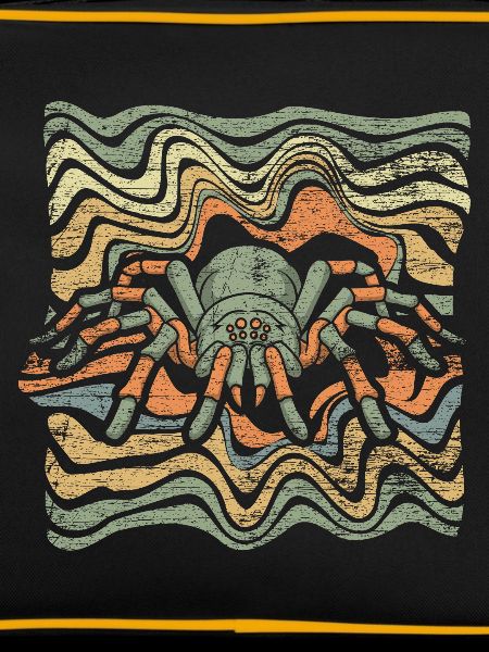 spider