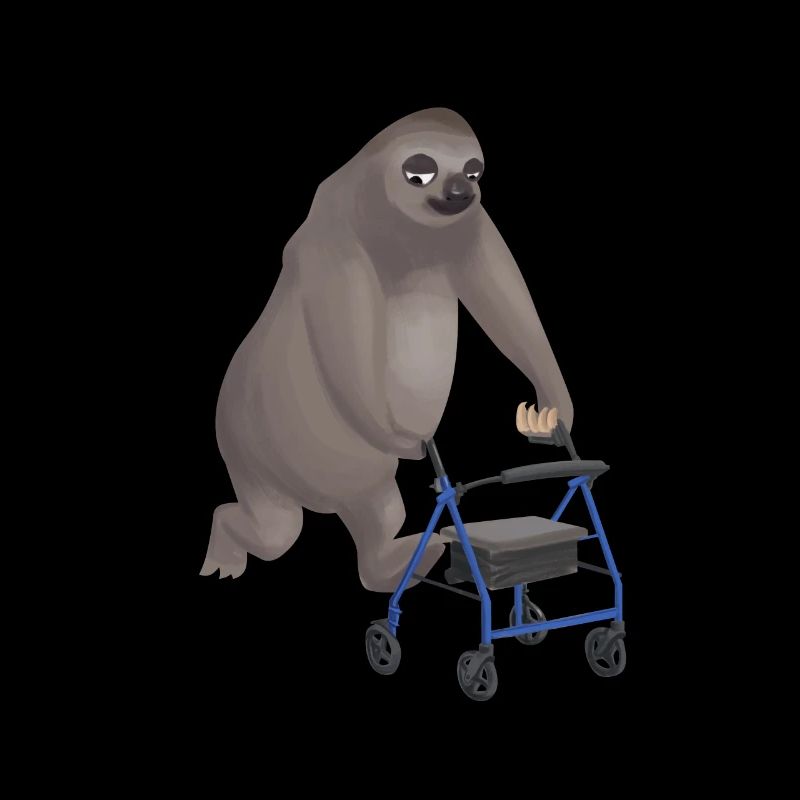 Sloth rollator sloth fur pensioner gift