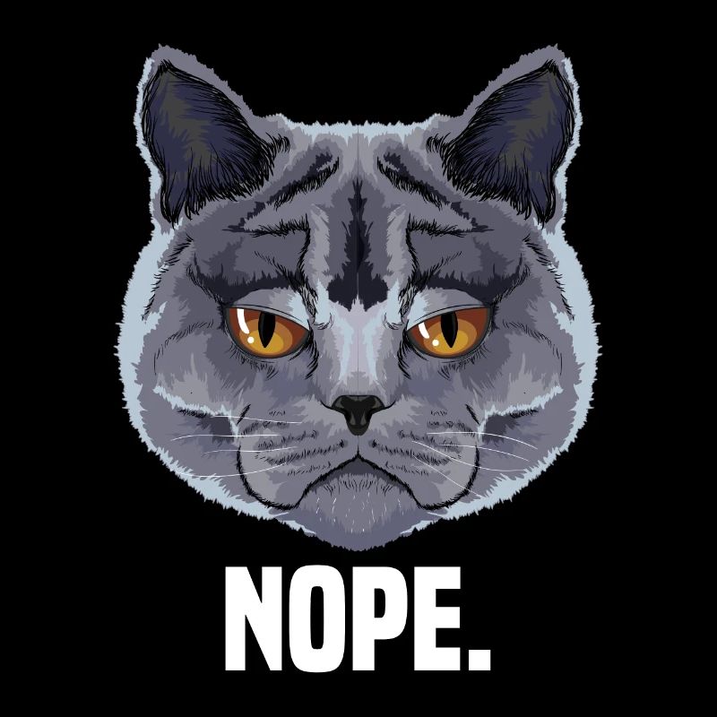 grumpy british shorthair cat cat lover