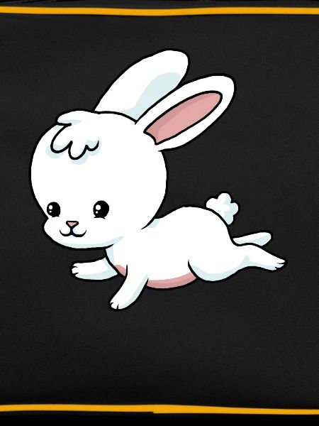 Little bunny