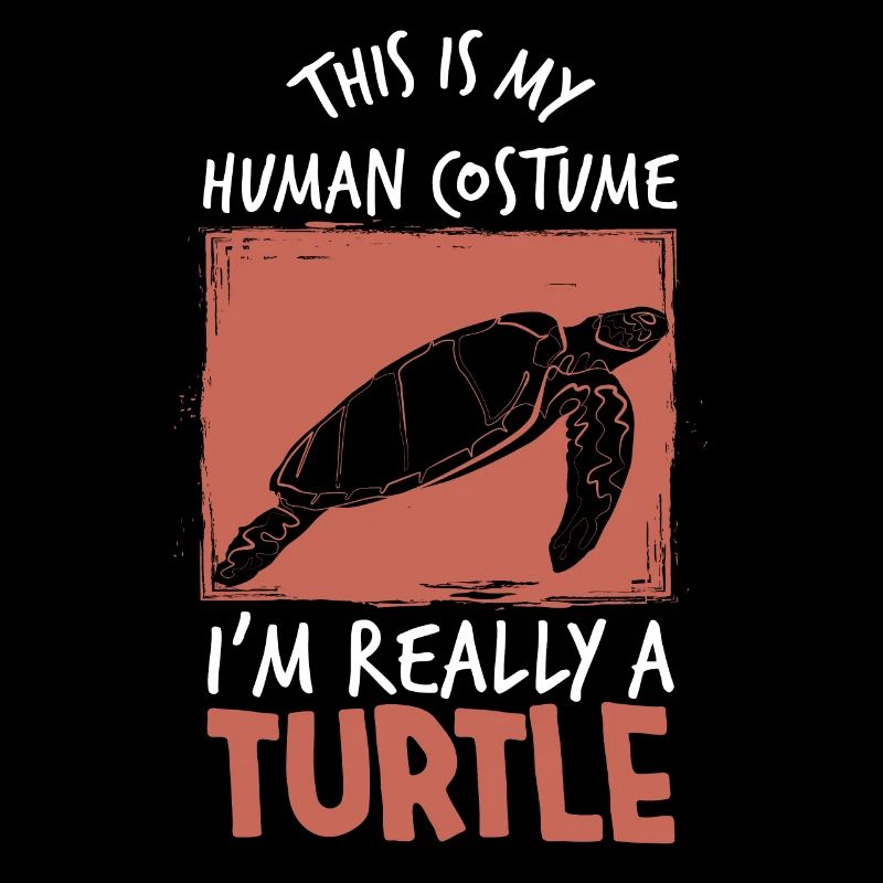 Tortue