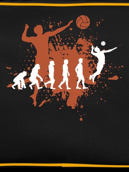 Volleyball