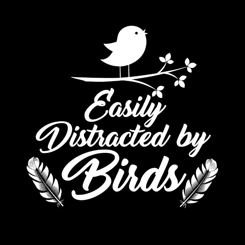 observation des oiseaux