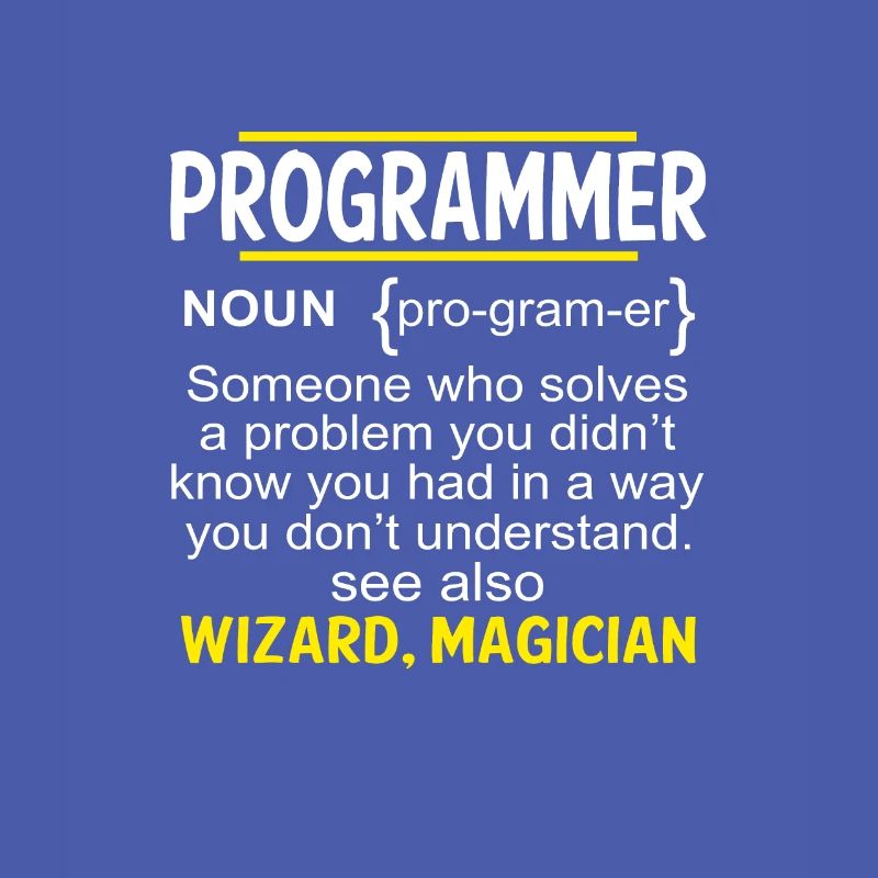 Funny Developer Coder IT Programmer Gift