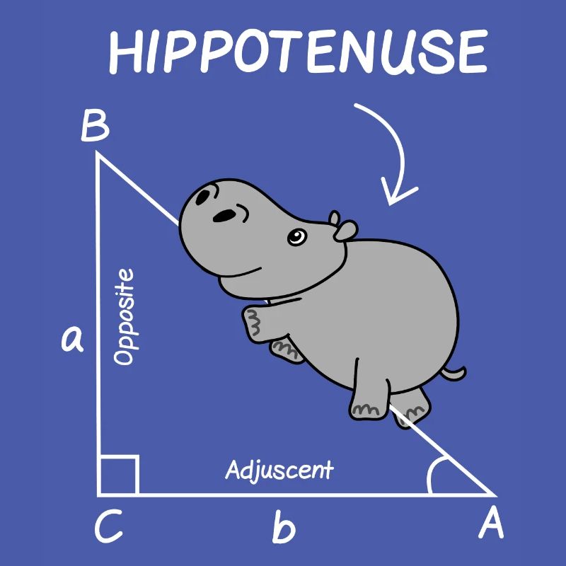 Math Teacher Student Engineer School