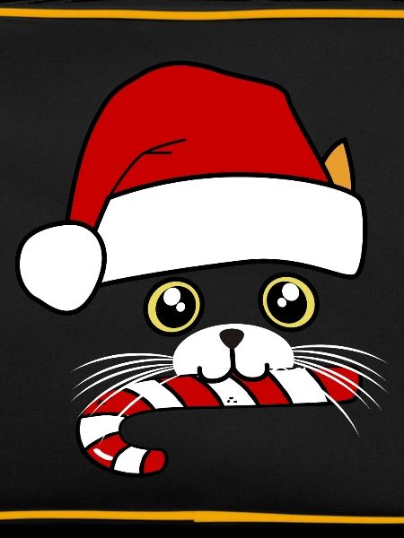 chat noel