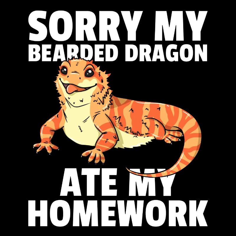 Bearded Dragon Beard Dragon Lizard Reptile