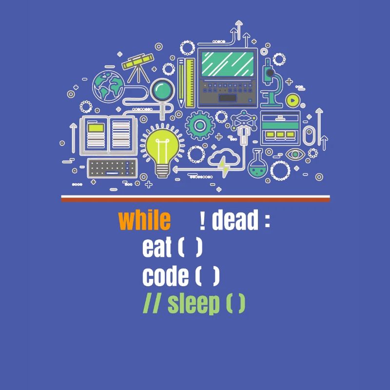 programmer