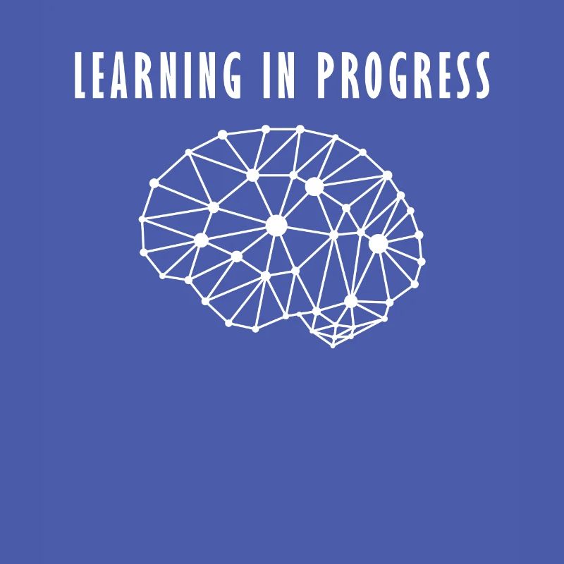 Human brain neuronal network learning process