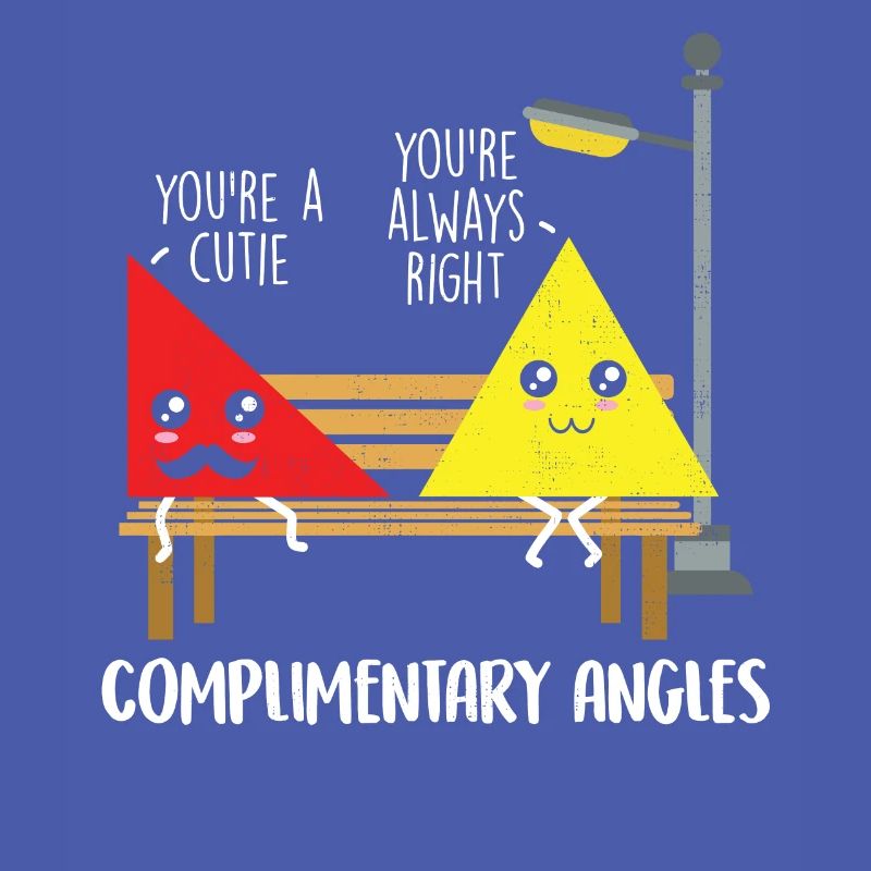 Funny Geometry Pun Gift Design Complimentary