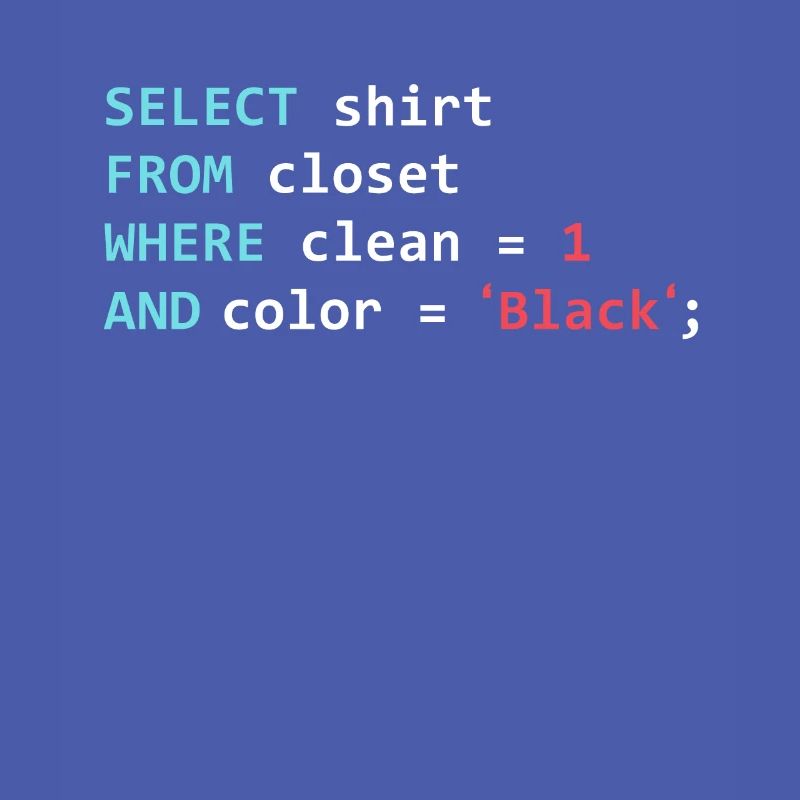 Programmer Database Funny SQL Query