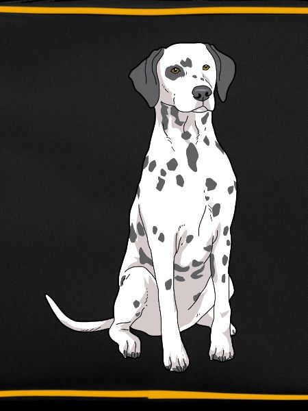 Dalmatian dog