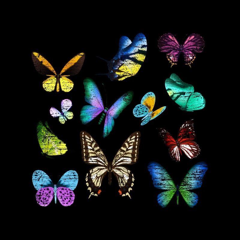 Papillon insecte cocon