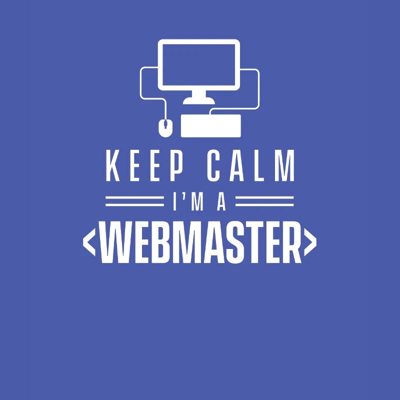 Web Master développeur webmasters web web team