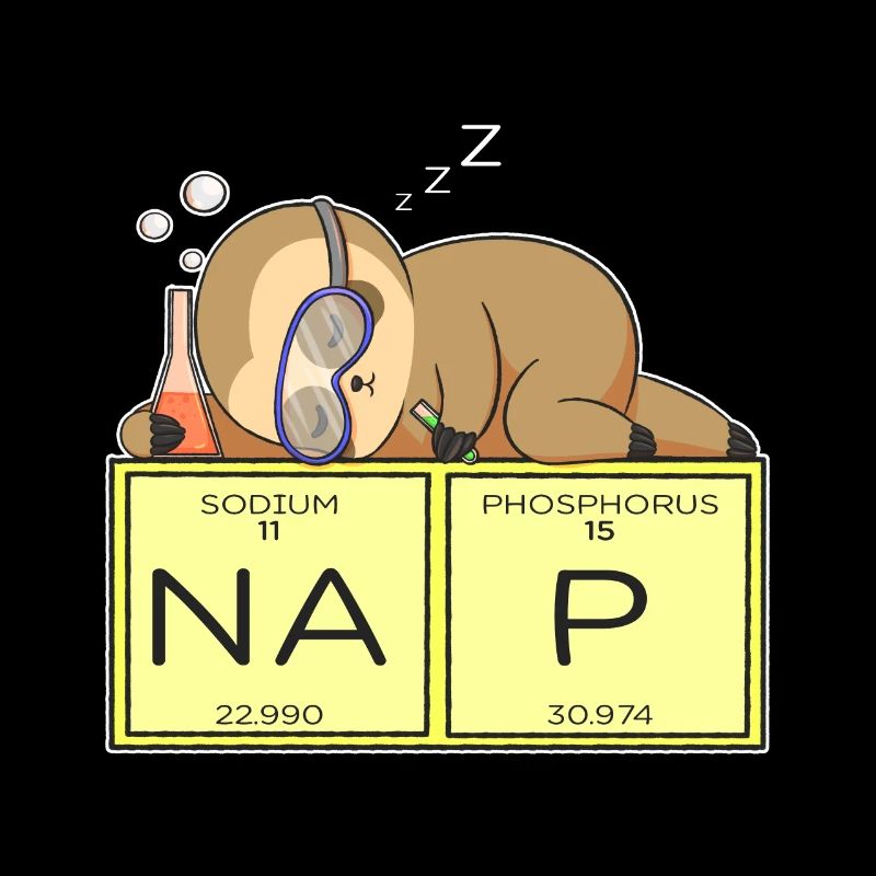 Sloth Nap