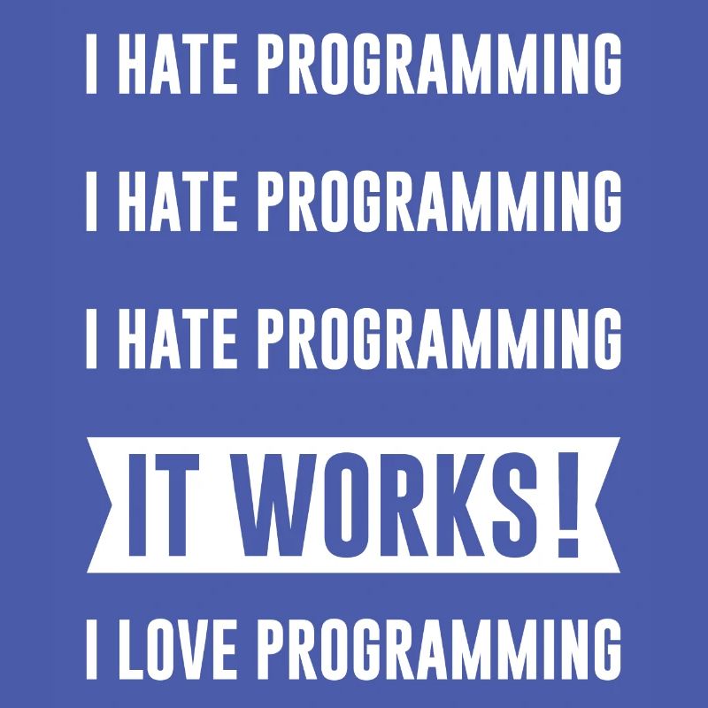 Programmeur - I HATE PROGRAMMING