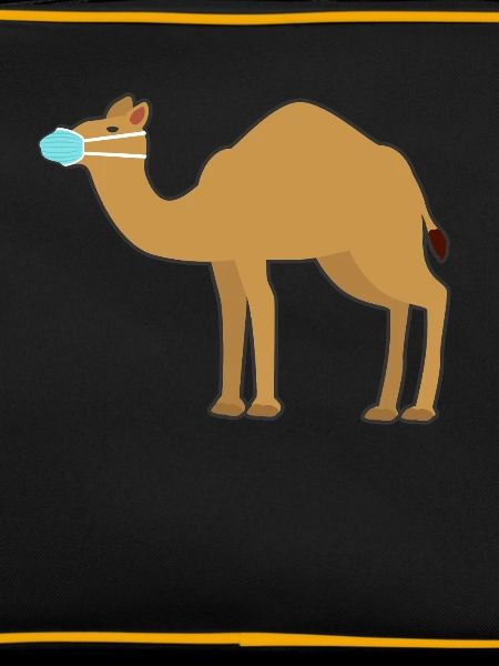 Kamel
