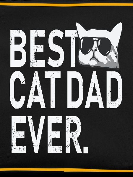 Best cat dad ever