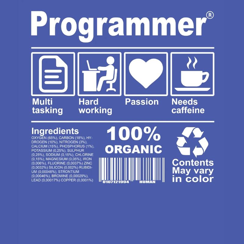 Programmer
