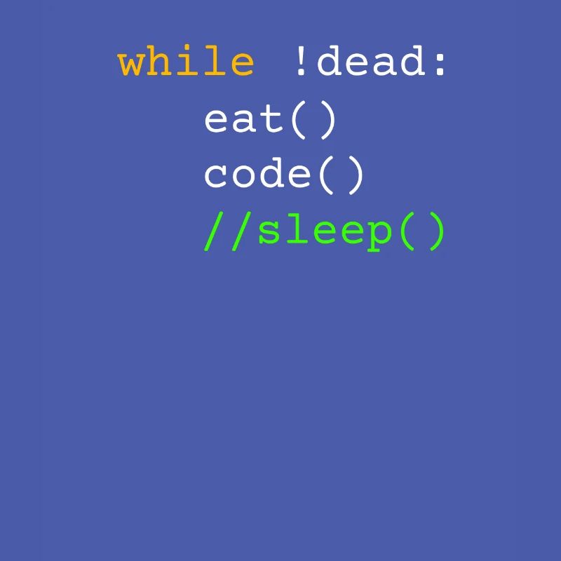 Programmeur cadeau