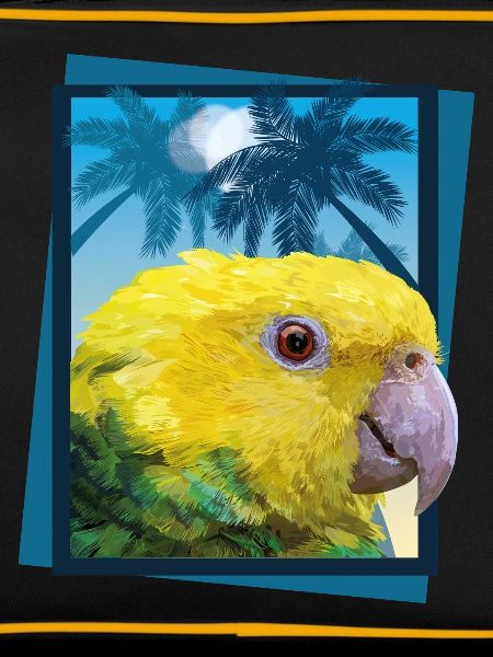 Equal-headed Amazon