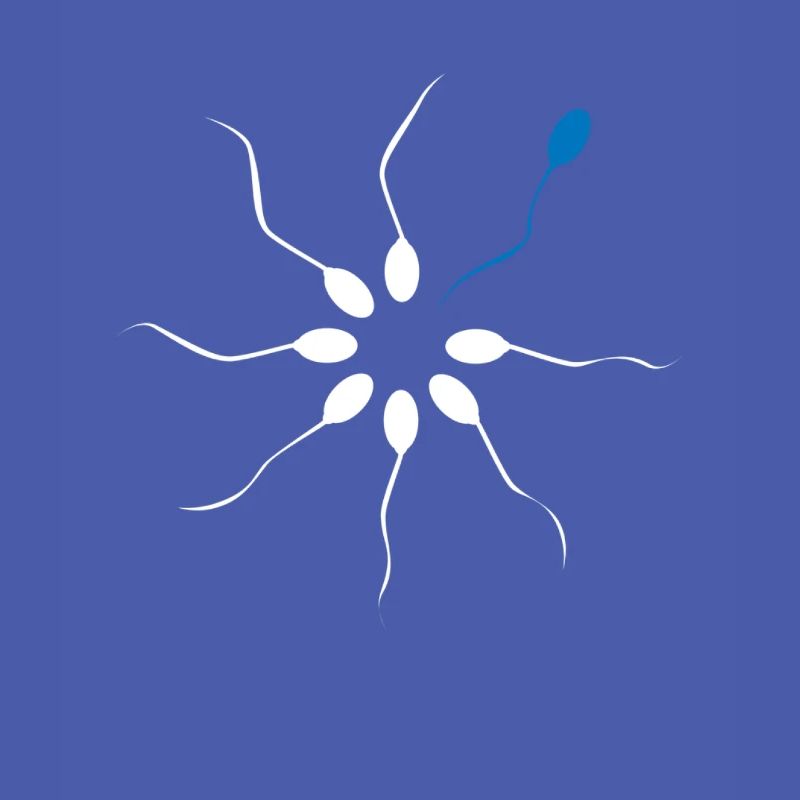 Be different Sei Anders Sperma Spermien Spermling