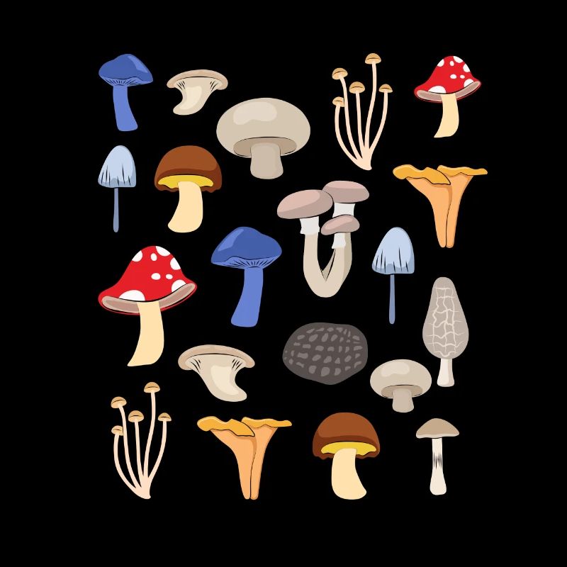 Conception d'espèces de champignons pour un cueilleur de champignons