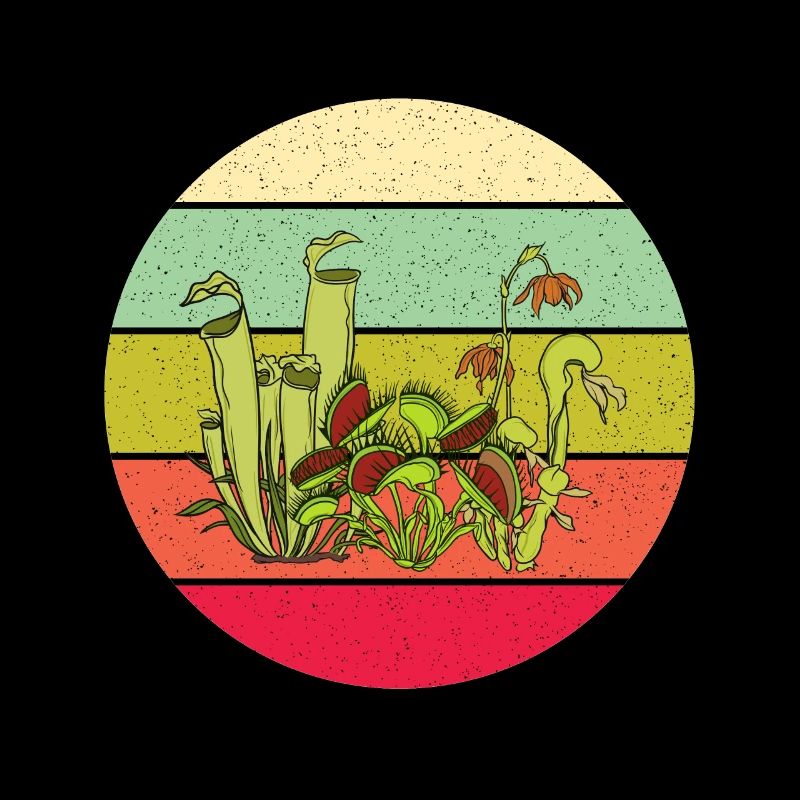 Carnivorous Plant Venus Flytrap