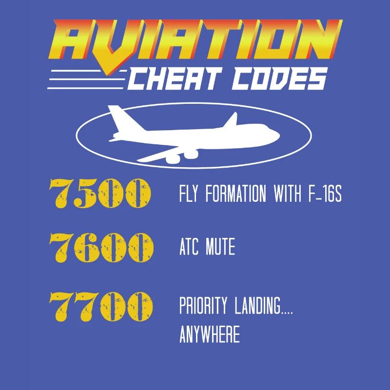 Aviation Cheat Codes gift, Aviation gift,
