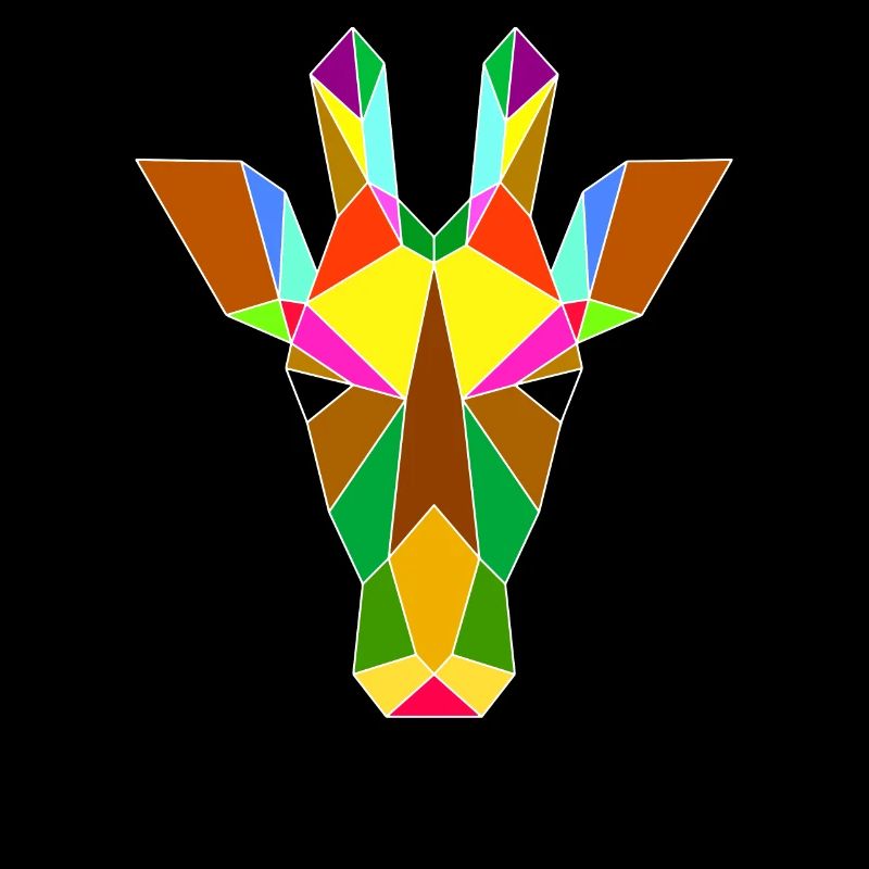 Giraffengeometrie