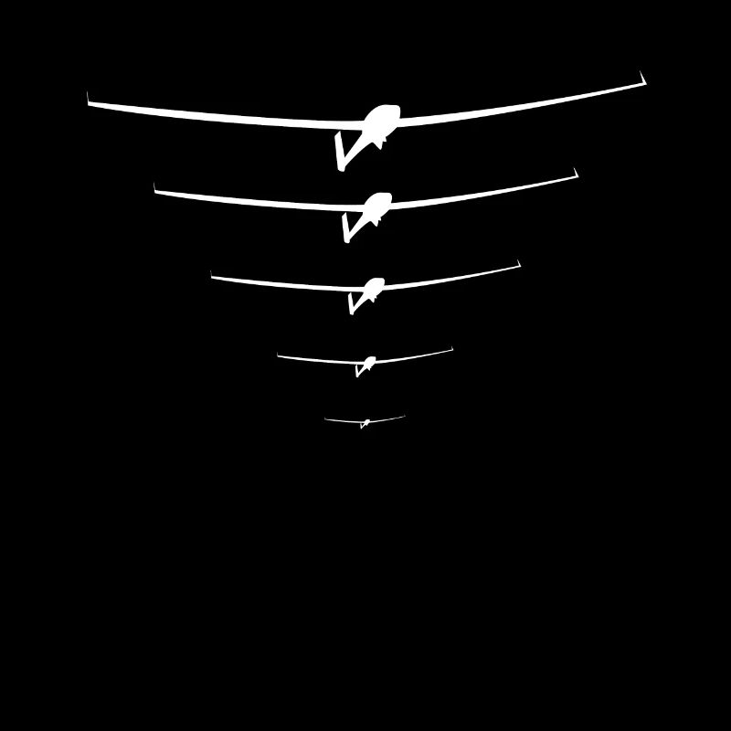 Glider pilot glider flying glider