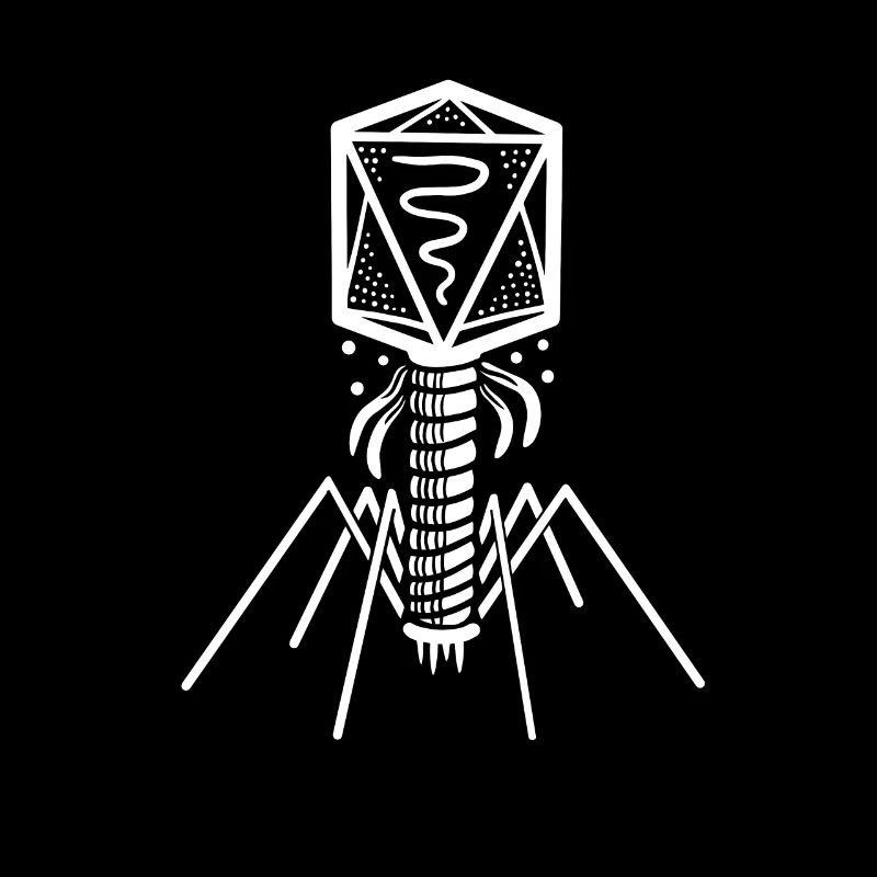 Biology Microbiology Genetic engineering Bacteriophages