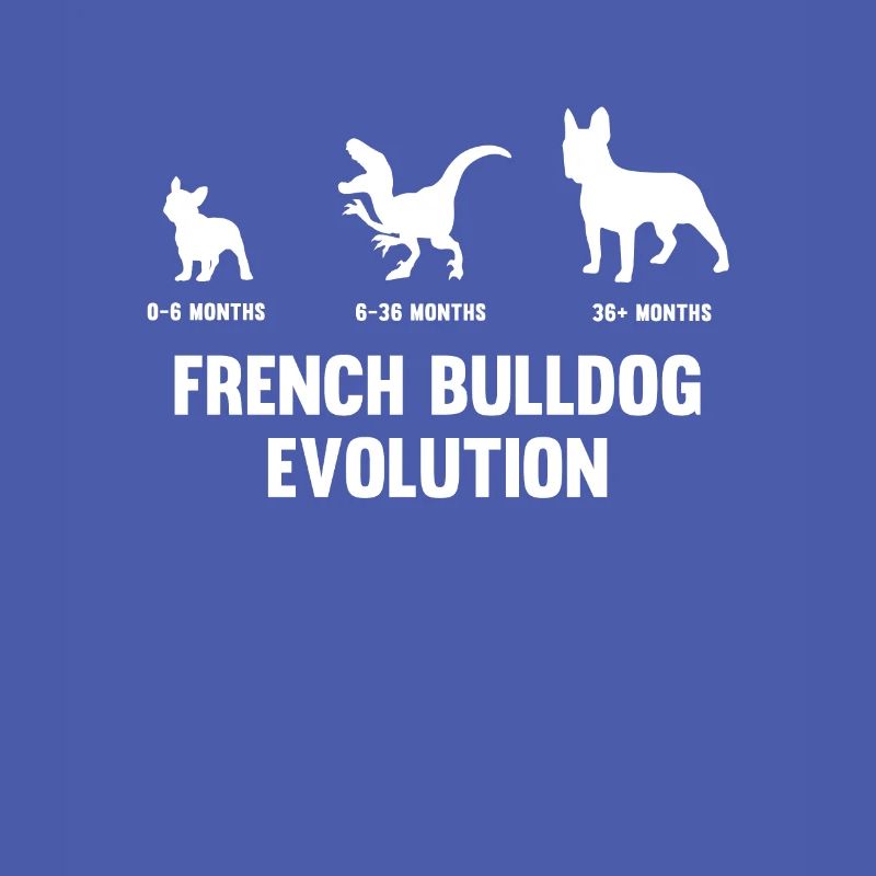 Evolution du bouledogue français pour un