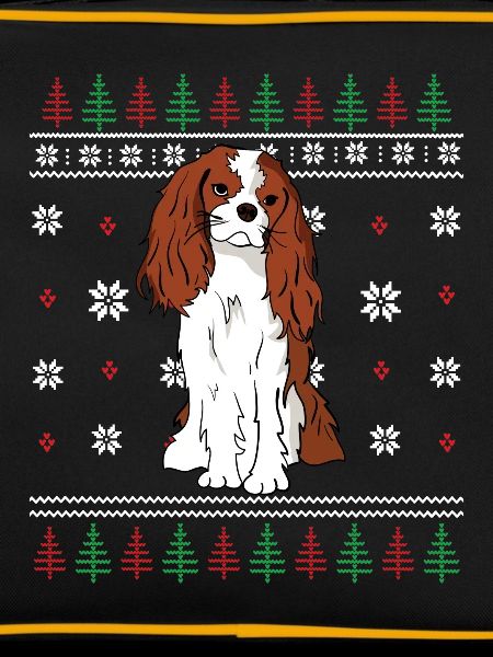 Cavalier King Charles Spaniel