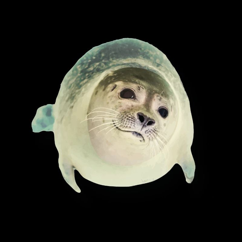 cute seal says hello
