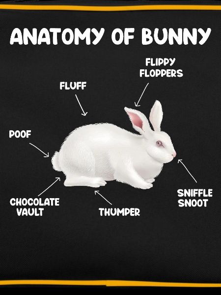 Bunnies rabbits easter