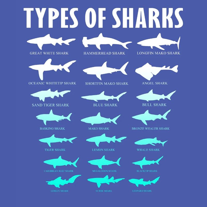 requin