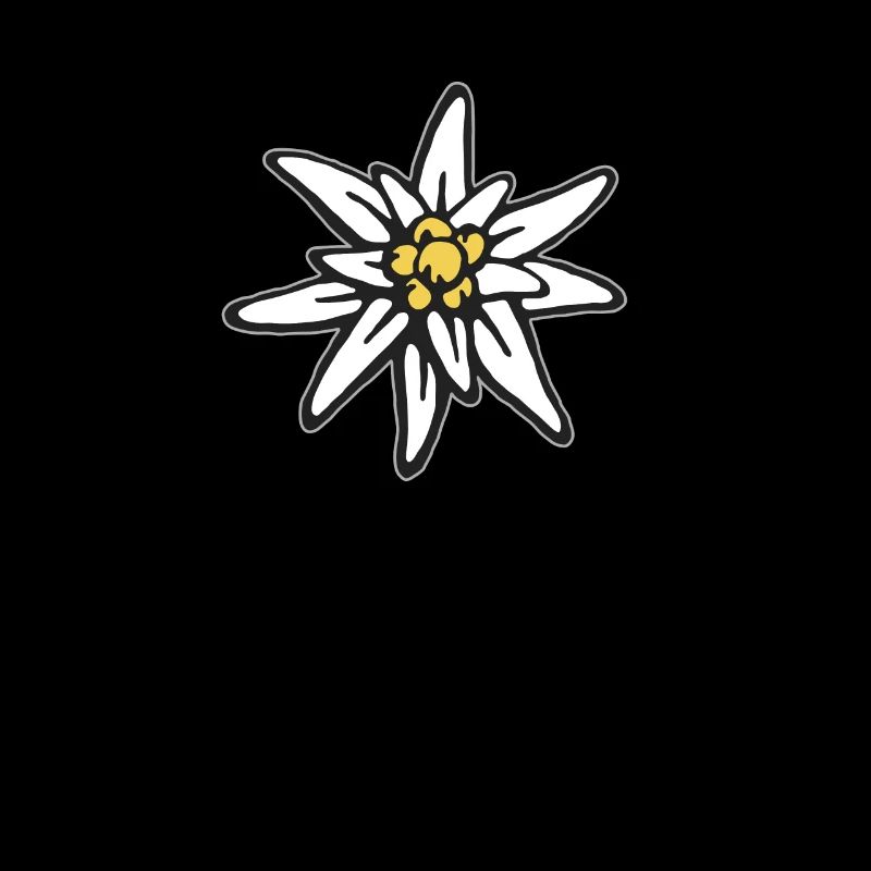 Edelweiss Fleur de montagne Fleur