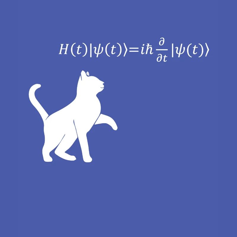 Schrödinger's Cat - Physicist Gift Physics Nerd