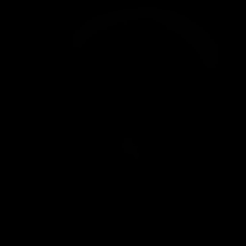 Evolution paraglider