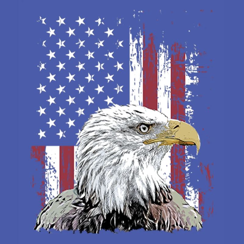 Independence Eagle American Flag Eagle