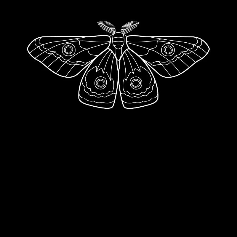 Papillon papillon cadeau