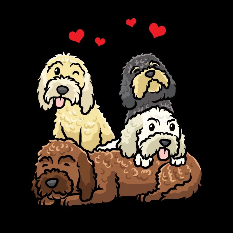 Cockapoo Hund Cockerpoo