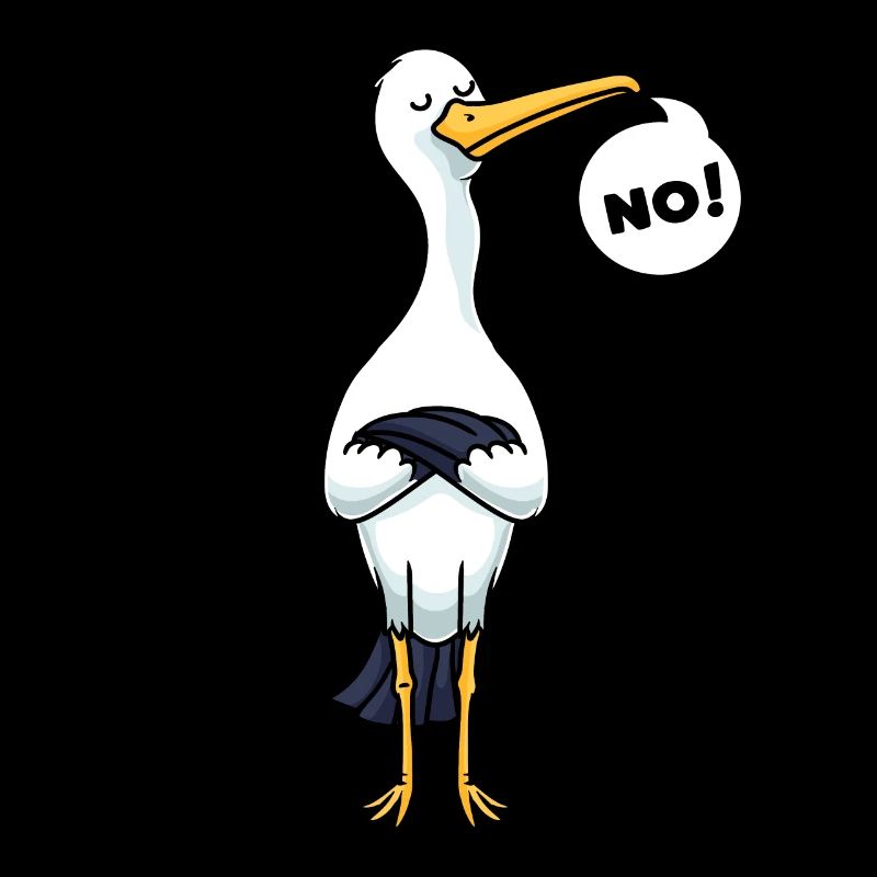 Cigogne têtue Oiseaux cigognes blanches