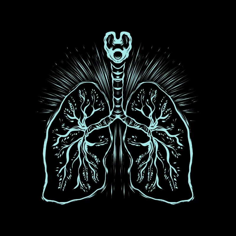 Anatomie der Lunge - Medizin
