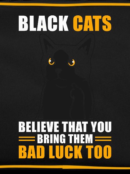 Superstition Black Cat