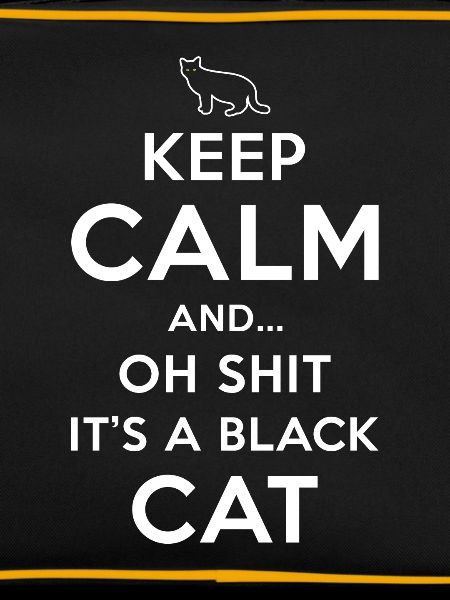Superstition Black Cat