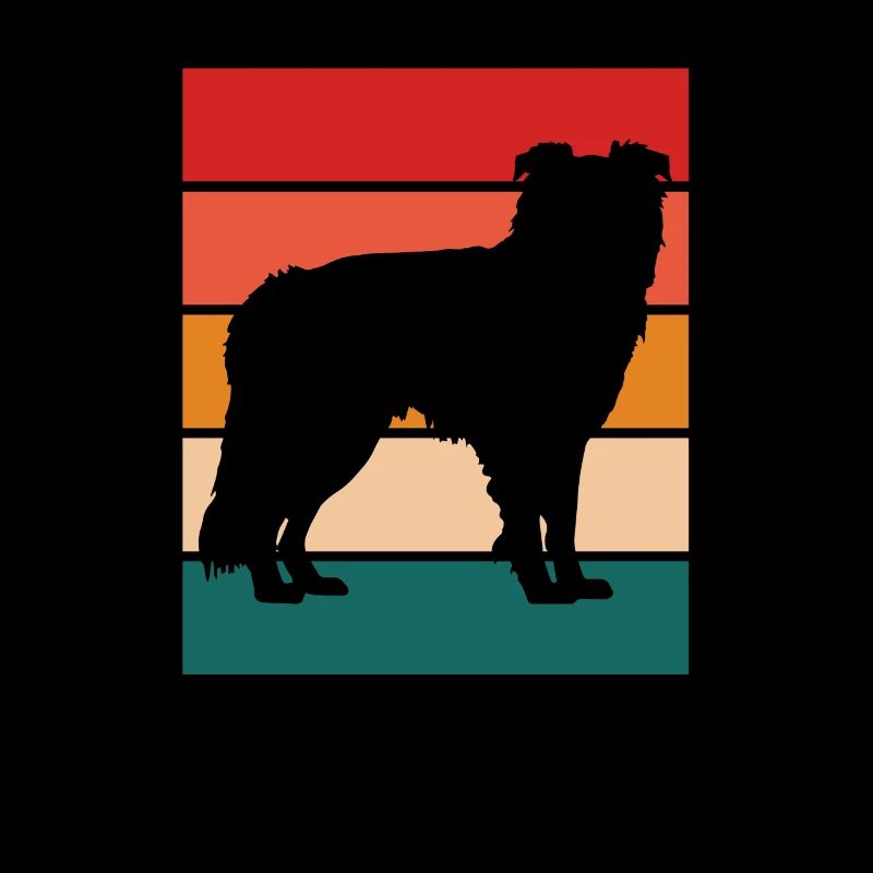 Border collie silhoutte with retro color